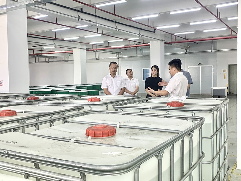 政企连心·共促发展|东莞市东城区政府领导莅临永利VIP新材参观指导